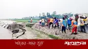বগুড়ায় যমুনার ভাঙন ভয়াবহ রূপ নিয়েছে, ১৫০ মিটার তীর নদীগর্ভে
