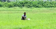 সীমান্তে শূন্যরেখায় আটকা এক যুবক, ১৮ ঘণ্টা পেরিয়ে মানবেতর অবস্থা