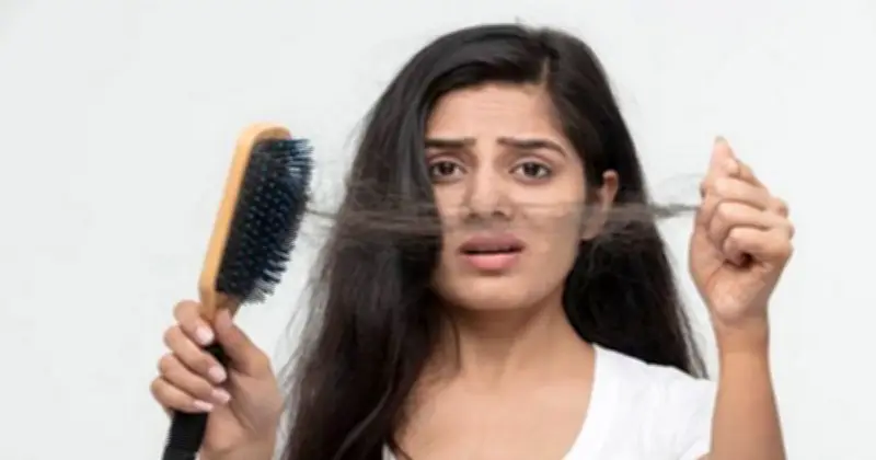 চুল পড়া কমাতে ও ঘন করতে ১৫টি খাবার: বিশেষজ্ঞের পরামর্শ