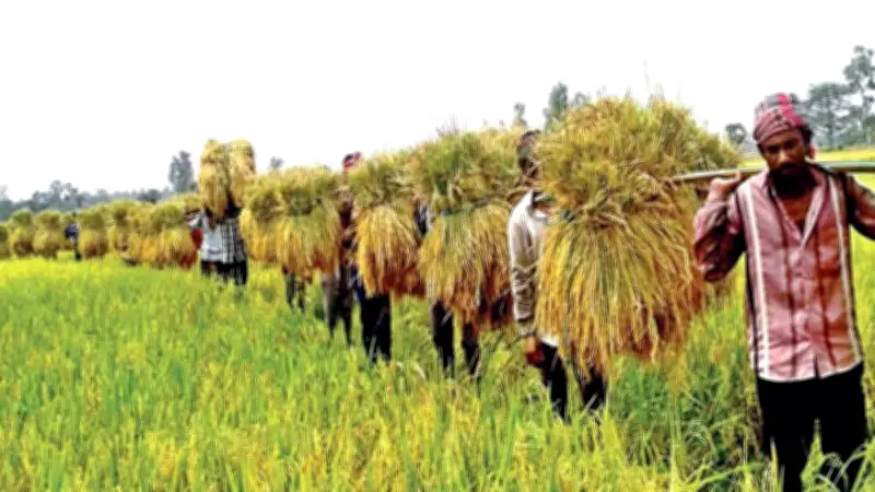 উত্তরাঞ্চলে কৃষি উন্নয়নে ৩ হাজার কোটি টাকার তহবিল গঠন ৩০ বছরেও বাস্তবায়ন হয়নি