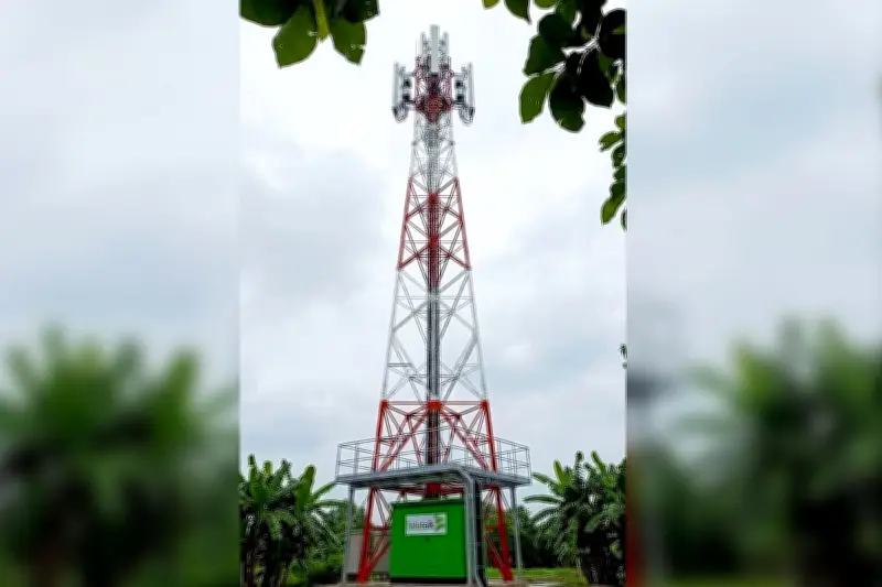 মধুপুর বনের বেদুরিয়া গ্রামে ফোর-জি সংযোগ, ফ্রিল্যান্সারদের স্বপ্নপূরণ