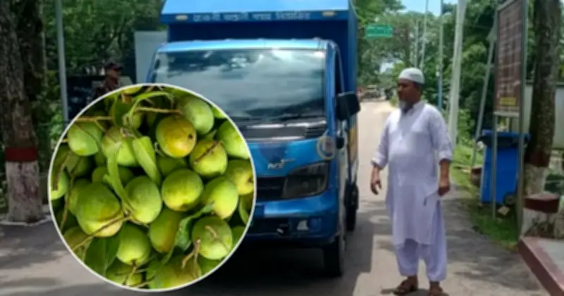 বাংলাদেশ থেকে ত্রিপুরার মুখ্যমন্ত্রীকে উপহার হিসেবে ৬০০ কেজি আম পাঠানো
