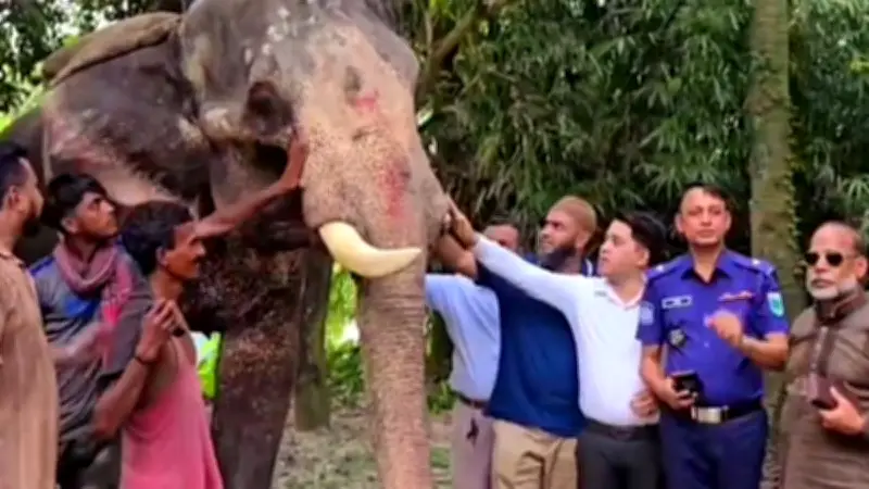 রাজধানীতে বিএনপির বিক্ষোভ সমাবেশে পুলিশের বাধা, আটক ১৫