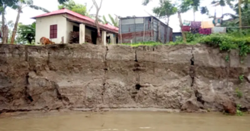 ব্রহ্মপুত্রের ভাঙনে শ্যামপুরের অর্ধশতাধিক পরিবার হুমকির মুখে