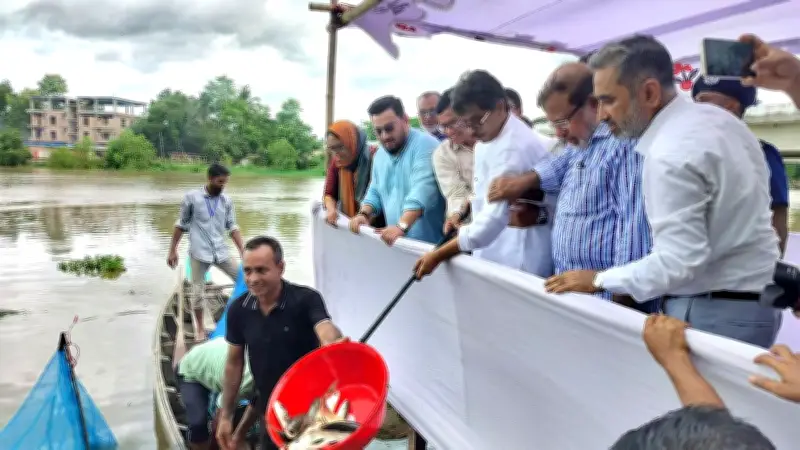 চাঁদপুরে এক ইলিশের দাম ২২ হাজার ৭৯৮ টাকা, হালদা নদীর জীববৈচিত্র্য রক্ষায় সচেতনতা জরুরি
