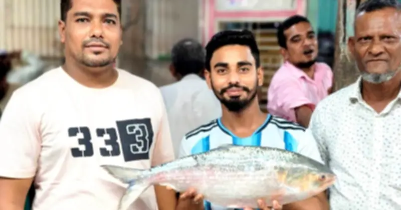 চাঁদপুরে প্রায় তিন কেজি ইলিশ ২২ হাজার ৭৯৮ টাকায় বিক্রি