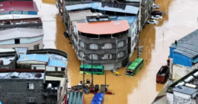 চীনে ঝড়ে মৃতের সংখ্যা বেড়ে ১৫, হতাহত ও উদ্ধার তৎপরতা জোরদার