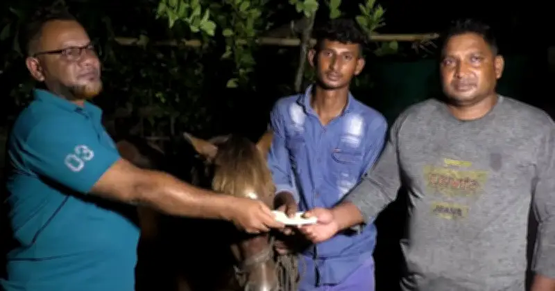 অন্ধ ঘোড়াকে আশ্রয় দেয়ায় কলেজছাত্রকে সহায়তা প্রধানমন্ত্রীর