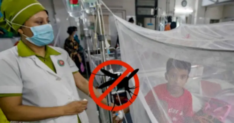 দেশে ডেঙ্গু আক্রান্ত ৭ হাজার ছাড়িয়েছে, নতুন করে ১৯৬ জন হাসপাতালে