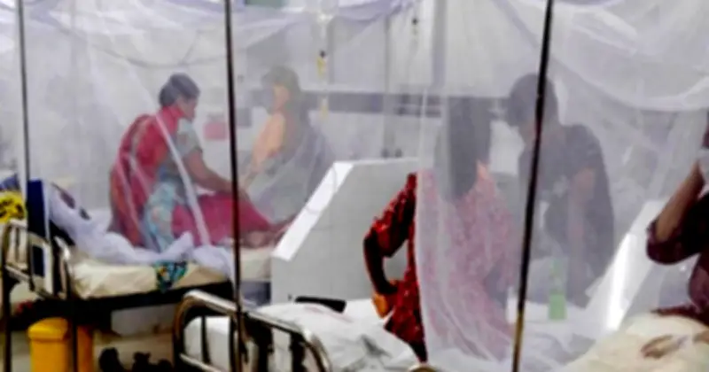 চট্টগ্রামে ডেঙ্গুর প্রকোপ: আট ওয়ার্ড হটস্পট, ৩১৭ রোগী শনাক্ত