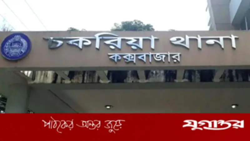 চকরিয়ায় পৈতৃক ভিটার গাছ কাটা নিয়ে ছোট ভাইয়ের দায়ের কোপে বড় ভাই খুন