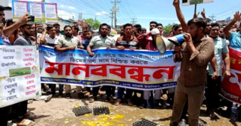 শ্রীপুরে ডিমের ন্যায্যমূল্যের দাবিতে খামারিদের মানববন্ধন ও প্রতিবাদ