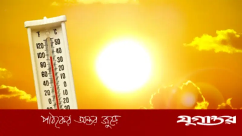 ফ্রান্সে তীব্র দাবদাহে ৯ হাজারের বেশি মানুষের মৃত্যু, স্বাস্থ্যমন্ত্রীর সতর্কতা