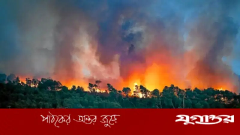 তাপপ্রবাহে বিপর্যস্ত ফ্রান্স, দাবানলে পুড়ছে বনাঞ্চল: ২ হাজার মৃত্যু