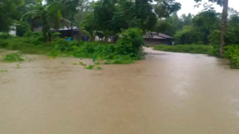 মীরসরাইয়ে ভারী বর্ষণে নিম্নাঞ্চল প্লাবিত, দুর্ভোগে বাসিন্দারা