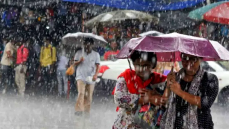 ৪ বিভাগে ভারী বৃষ্টি, নদীবন্দরে সতর্কতা; এনসিপি সমাবেশে ককটেল বিস্ফোরণে আহতদের পরিচয় জানা গেল
