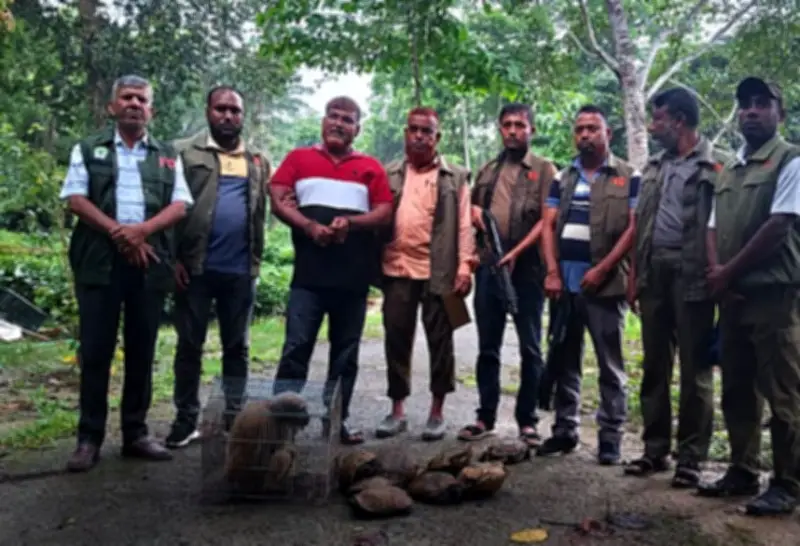 ইন্টারপোল তালিকাভুক্ত পাচারকারী হাদিস রহমান গ্রেপ্তার: বন্য প্রাণী পাচার চক্রের শিকড় অনুসন্ধান জরুরি