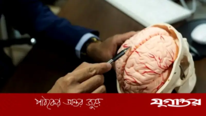 ইরানের নিউরন দিয়ে কৃত্রিম মস্তিষ্ক তৈরির দাবি, শিখতে সক্ষম