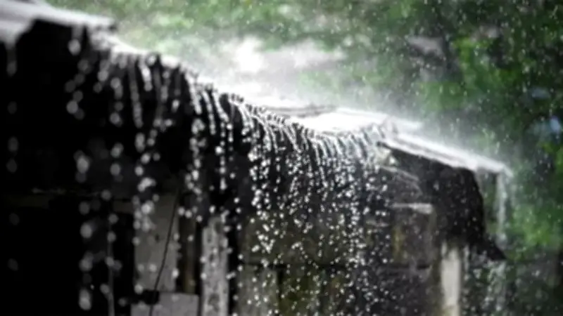 জুলাইয়ে ভারী বৃষ্টির আভাস, সাগরে ৬ লঘুচাপের শঙ্কা
