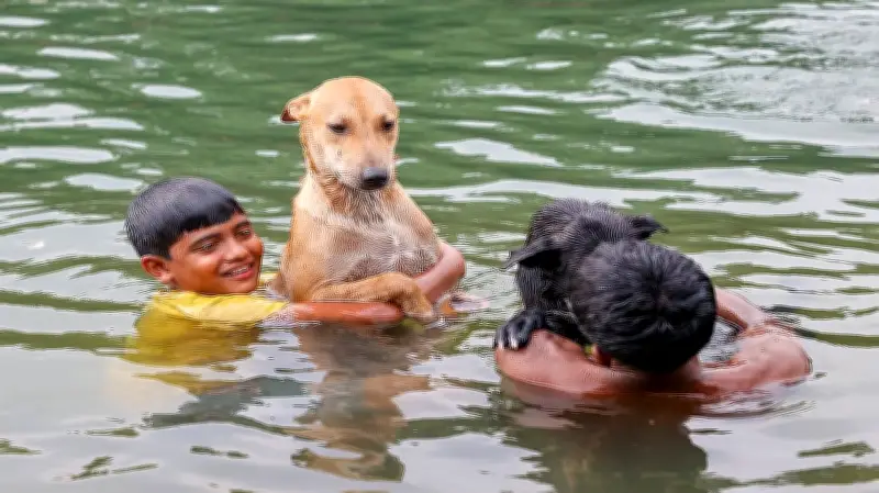 সদ্য বিদায়ী জুনে স্বাভাবিকের চেয়ে ২৯ শতাংশ কম বৃষ্টি, সাত বছরের রেকর্ড