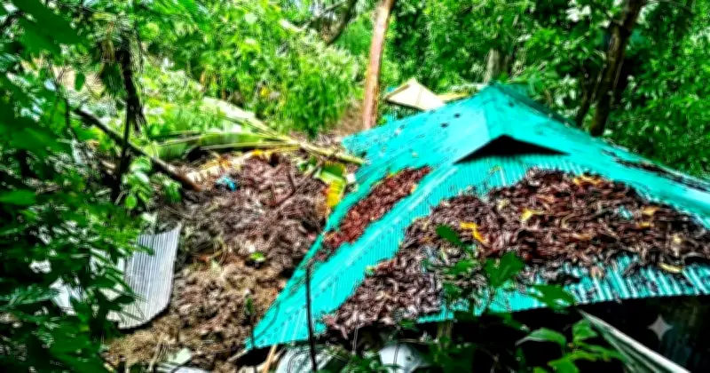কক্সবাজারে পাহাড় ধসে নারী নিহত, স্বামী আহত