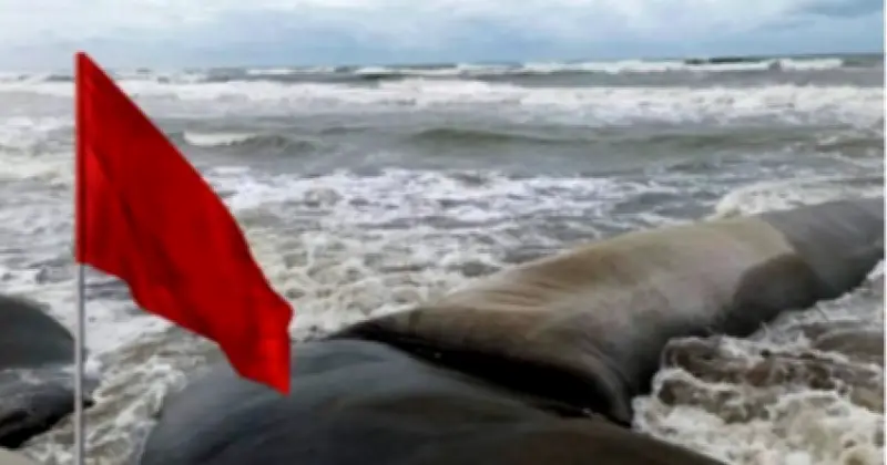 চার সমুদ্রবন্দরে স্থানীয় সতর্ক সংকেত ৩ (আর) জারি