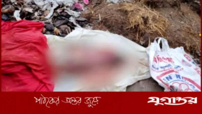 রাজবাড়ীতে ময়লার ভাগাড়ে নবজাতকের লাশ উদ্ধার