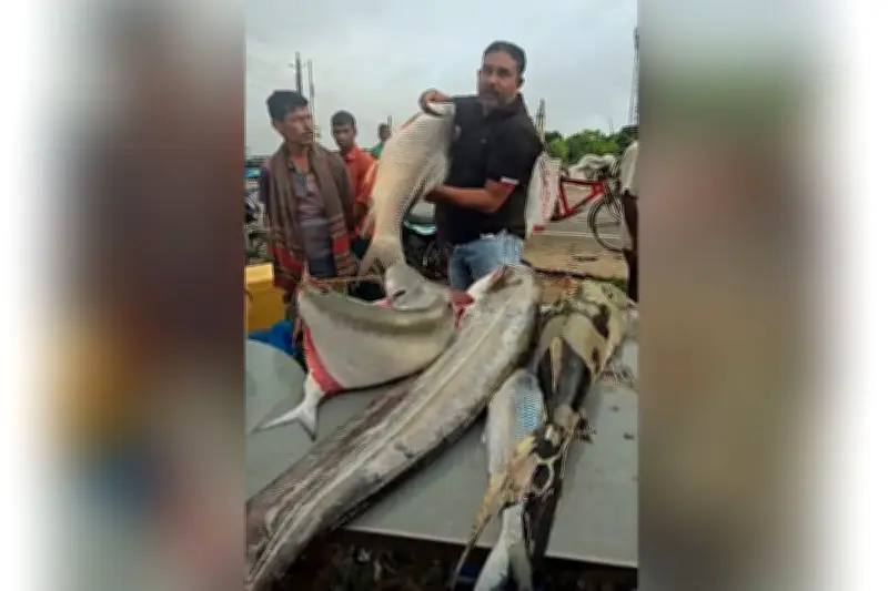 পদ্মায় ৬ কেজি ঢাঁই, ১৮ কেজি রুই, বোয়াল ও বাগাড় মাছ দুই লাখ টাকায় বিক্রি