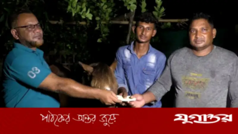 অন্ধ ঘোড়াকে আশ্রয় দেওয়া কলেজছাত্রের পাশে প্রধানমন্ত্রী তারেক রহমান