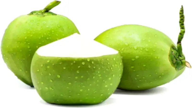 প্রাথমিক বৃত্তি পরীক্ষার ফল প্রকাশ ৯ জুলাই