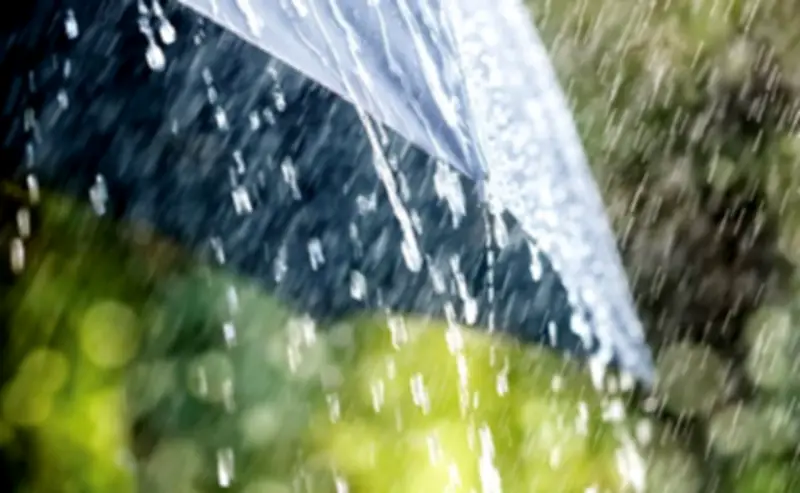 দেশের পাঁচ বিভাগে বৃষ্টির সম্ভাবনা