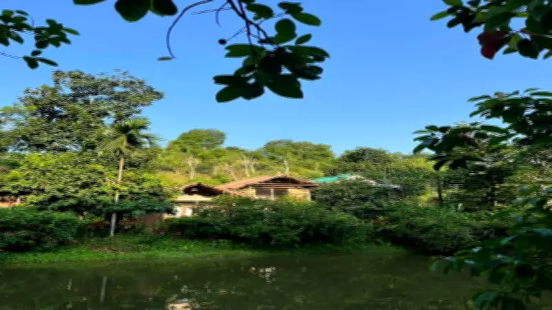 বর্ষায় শ্রীমঙ্গলের শান্তিবাড়ি ইকো রিসোর্টে বৃষ্টিবিলাসের অভিজ্ঞতা