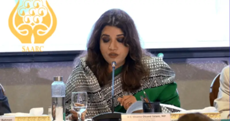 সার্কের সংকট প্রাতিষ্ঠানিকও: পররাষ্ট্র প্রতিমন্ত্রী