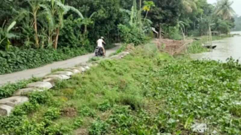সন্ধ্যা নদীর ভাঙনে হুমকিতে স্কুল ও সড়ক, জরুরি উদ্যোগ দাবি