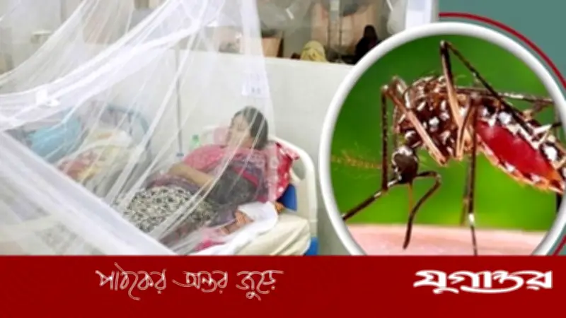 ডেঙ্গুতে একদিনে ৩ জনের মৃত্যু, হাসপাতালে ২৫১ জন