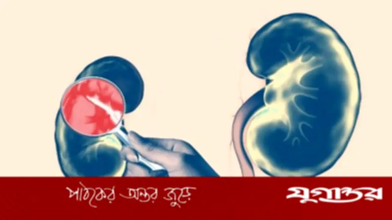 কিডনির সবচেয়ে বড় শত্রু যে তিনটি বিষয়