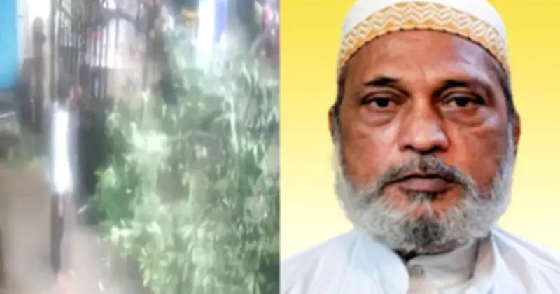 মুম্বাইয়ে গাছ ভেঙে প্রাণ গেল ৬৩ বছর বয়সী এক ব্যক্তির
