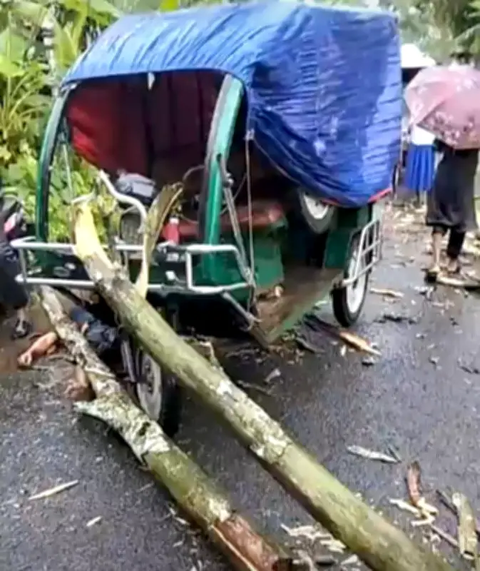 পীরগঞ্জে অটোরিকশার ওপর গাছ পড়ে চালক নিহত, আহত ১