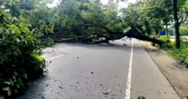 চট্টগ্রামে গাছ কেটে বিক্ষোভ: সওজের মামলায় গ্রেপ্তার ২