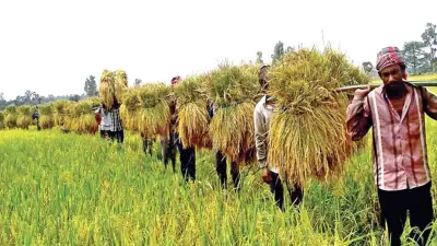 উত্তরাঞ্চলে কৃষি উন্নয়নে ৩ হাজার কোটি টাকার তহবিল গঠন ৩০ বছরেও বাস্তবায়ন হয়নি