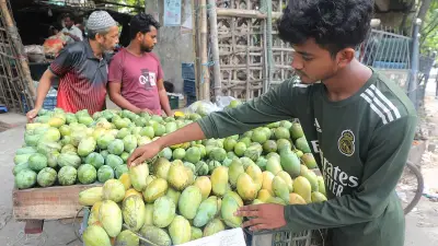 চট্টগ্রামের বাজারে আম্রপালির রাজত্ব, দাম বেড়েছে কেজিতে ৫-৬ টাকা