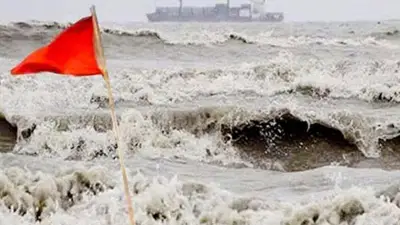 ড্রাইভিং লাইসেন্স: এক মাসে ৭৫ চালকের ৭৮ পয়েন্ট কাটল বিআরটিএ