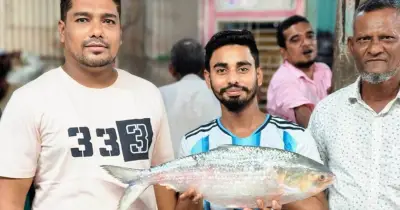 চাঁদপুরে প্রায় তিন কেজি ইলিশ ২২ হাজার ৭৯৮ টাকায় বিক্রি