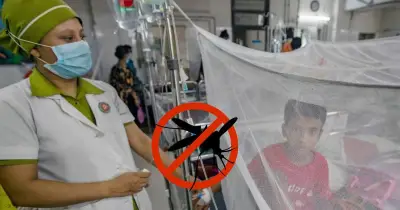 দেশে ডেঙ্গু আক্রান্ত ৭ হাজার ছাড়িয়েছে, নতুন করে ১৯৬ জন হাসপাতালে
