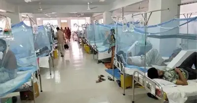 দেশব্যাপী ডেঙ্গুর ভয়াবহ পরিস্থিতির আশঙ্কা, হাসপাতালে রোগীর চাপ দ্বিগুণ