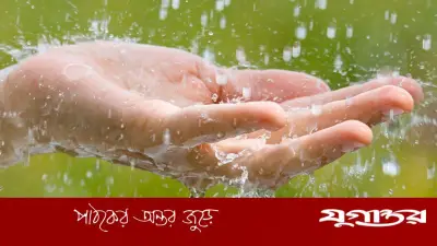 বৃষ্টিতে ভিজলে কি সত্যিই ঘামাচি কমে? চিকিৎসকদের উত্তর