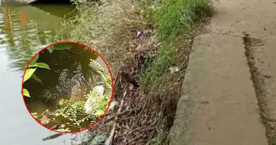 চাঁদপুরে গ্যাস লিকেজ, দুমাস ধরে বুদবুদ, দুর্ঘটনার আশঙ্কা