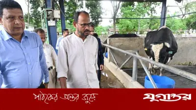 দেশী গবাদিপশু উন্নয়নে কার্যকর পদক্ষেপ নিচ্ছে সরকার: প্রতিমন্ত্রী
