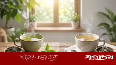 গ্রিন টি না হোয়াইট টি: রোগপ্রতিরোধ ক্ষমতা বাড়াতে কোনটি বেশি কার্যকর?