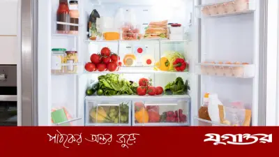 বর্ষাকালে ফ্রিজে খাবার সংরক্ষণে সতর্কতা জরুরি
